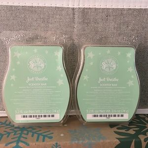 Scentsy Wax